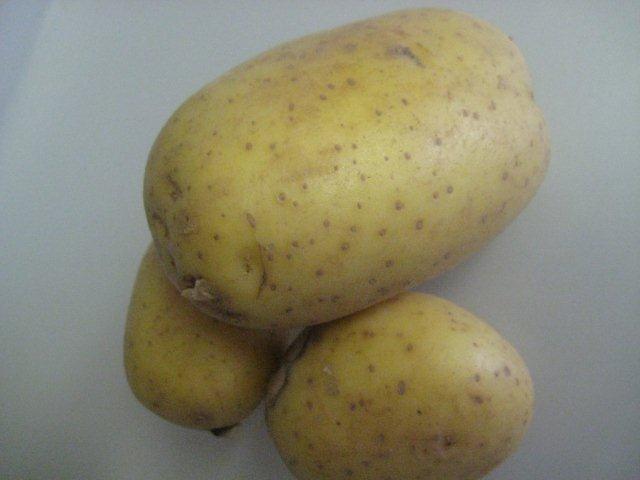 Kartoffel | Hochgeladen von: Ich86w Kartoffel | Hochgeladen von: Ich86w