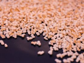 Amaranth gepufft | Hochgeladen von: julifisch Amaranth gepufft | Hochgeladen von: julifisch