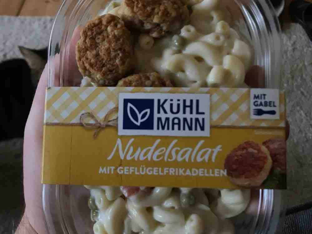 Nudelsalat mit würzigen Geflügelfrikadellen von heikof72 | Hochgeladen von: heikof72 Nudelsalat mit würzigen Geflügelfrikadellen von heikof72 | Hochgeladen von: heikof72